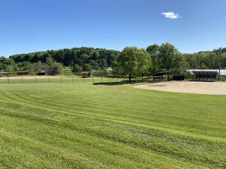 powerfields-7-scaled